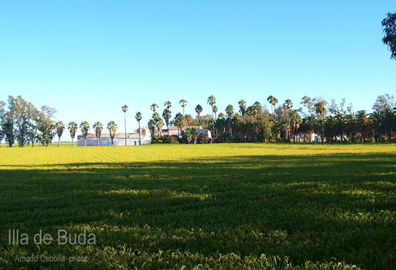 Villa Paquita - Delta De L'Ebre Deltebre Exteriér fotografie