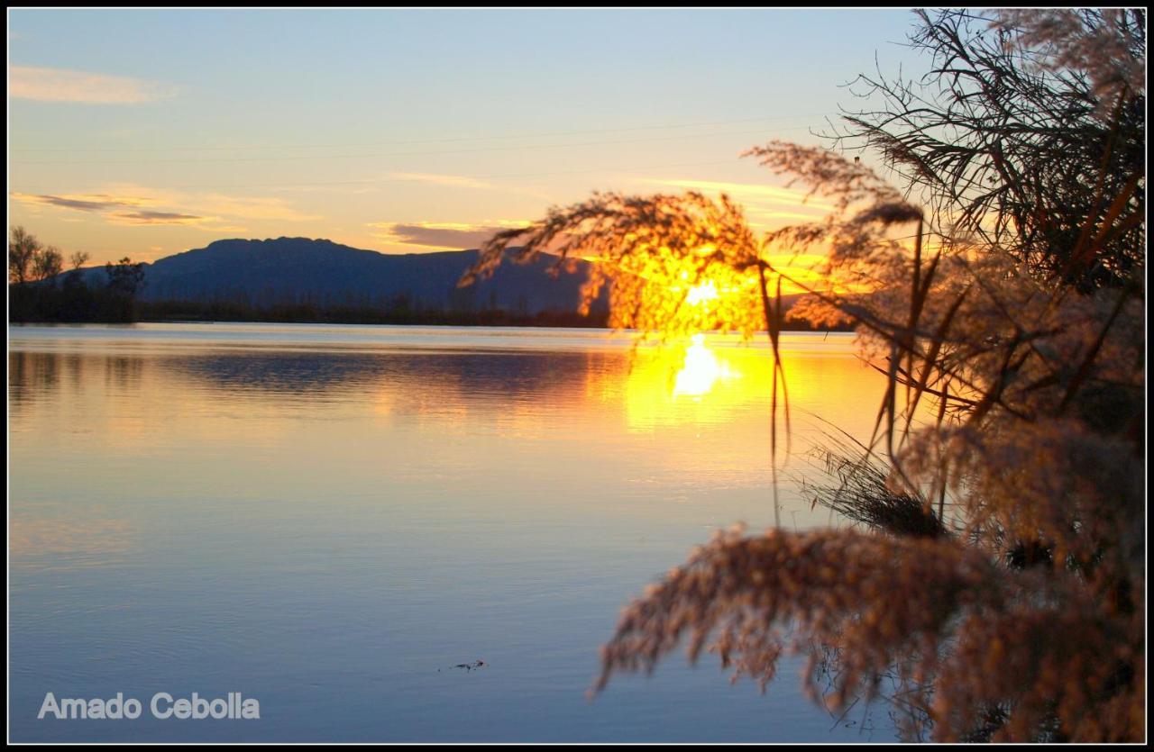 Villa Paquita - Delta De L'Ebre Deltebre Exteriér fotografie