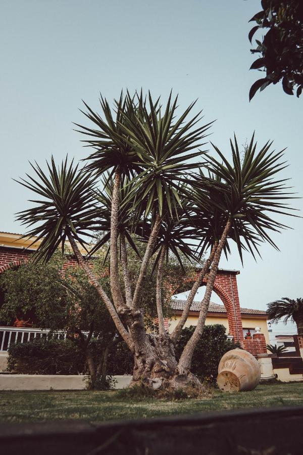 Villa Paquita - Delta De L'Ebre Deltebre Exteriér fotografie