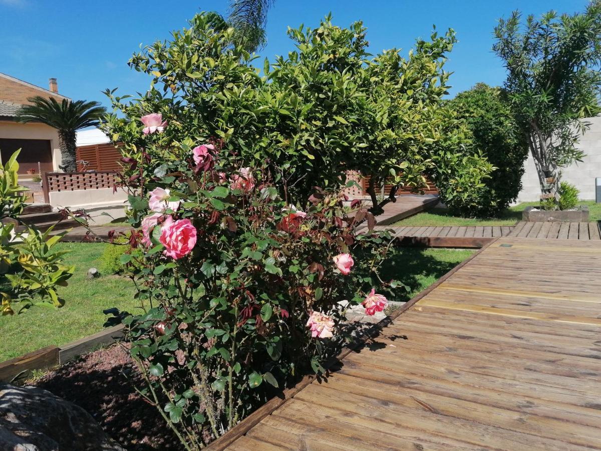 Villa Paquita - Delta De L'Ebre Deltebre Exteriér fotografie